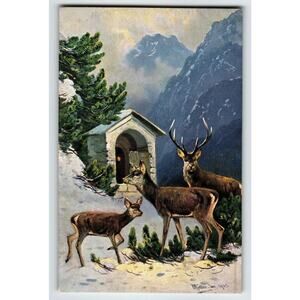 Postcard Deer In Wilderness Mountains Mist Rustic Signed Muller Germany KB 1329